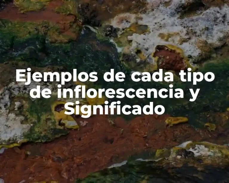 Ejemplos de cada tipo de inflorescencia y Significado
