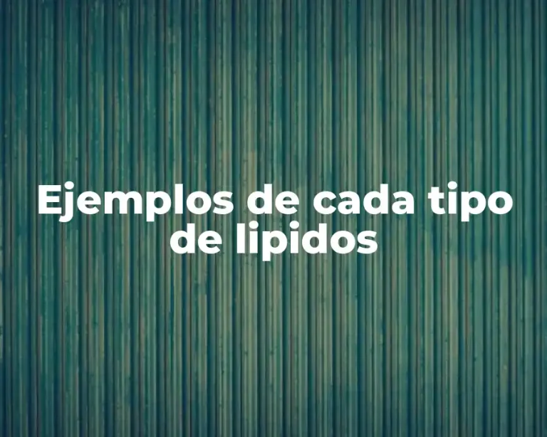 Ejemplos de cada tipo de lipidos
