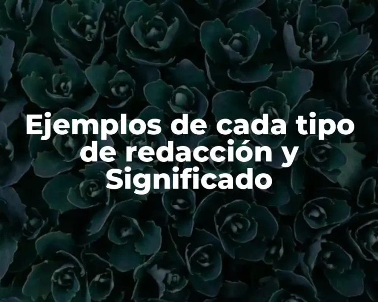 Ejemplos de cada tipo de redacción y Significado
