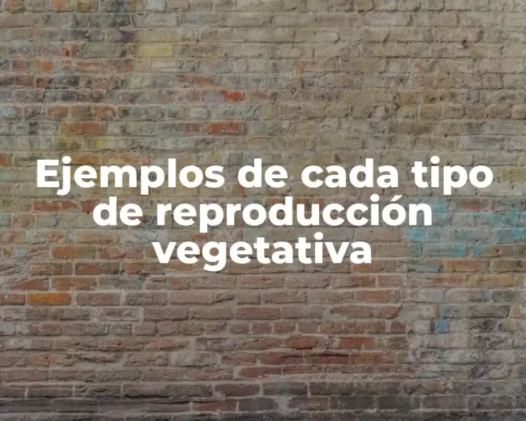 Ejemplos de cada tipo de reproducción vegetativa