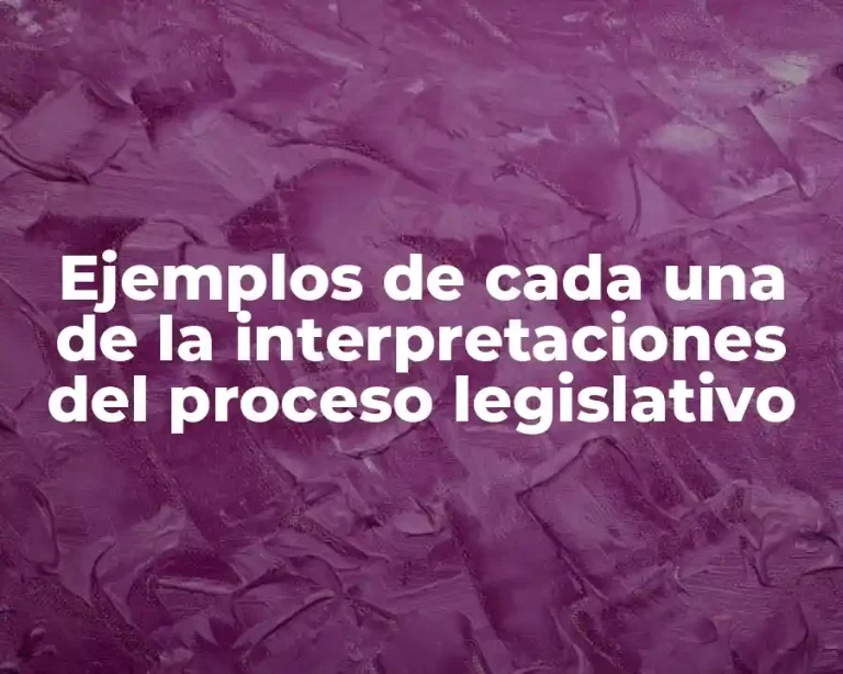 Ejemplos de cada una de la interpretaciones del proceso legislativo