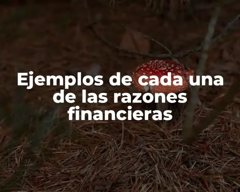 Ejemplos de cada una de las razones financieras