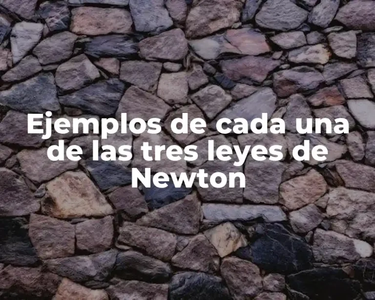 Ejemplos de cada una de las tres leyes de Newton
