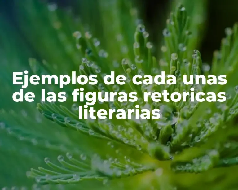 Ejemplos de cada unas de las figuras retoricas literarias