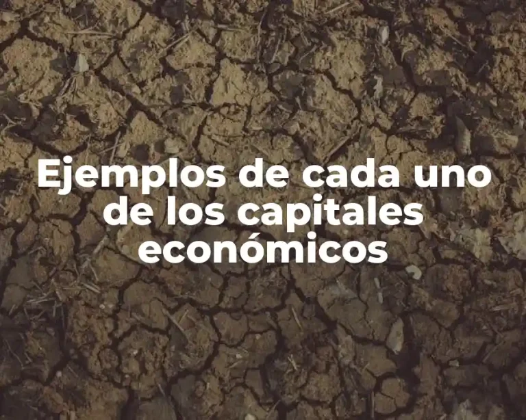 Ejemplos de cada uno de los capitales económicos