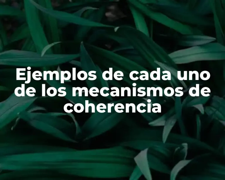 Ejemplos de cada uno de los mecanismos de coherencia