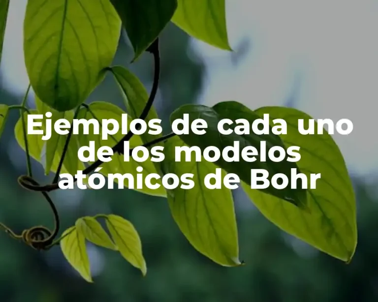 Ejemplos de cada uno de los modelos atómicos de Bohr