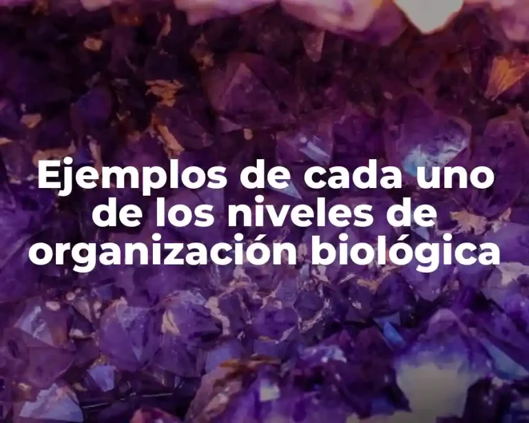 Ejemplos de cada uno de los niveles de organización biológica