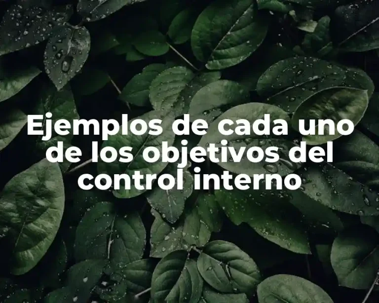 Ejemplos de cada uno de los objetivos del control interno
