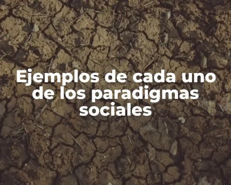 Ejemplos de cada uno de los paradigmas sociales