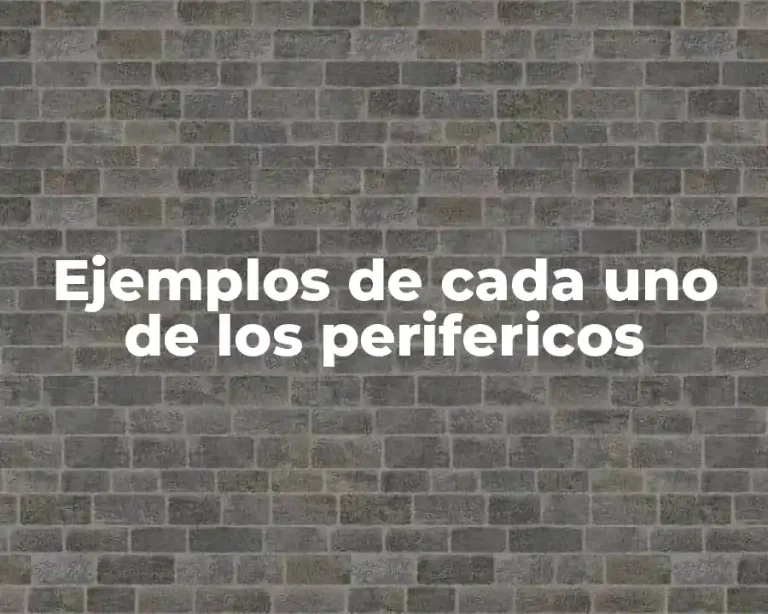 Ejemplos de cada uno de los perifericos