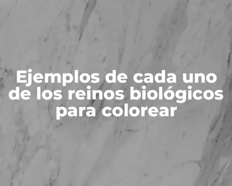 Ejemplos de cada uno de los reinos biológicos para colorear