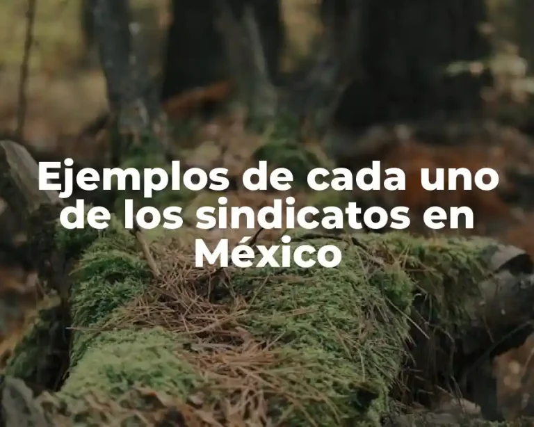 Ejemplos de cada uno de los sindicatos en México