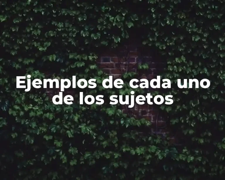 Ejemplos de cada uno de los sujetos