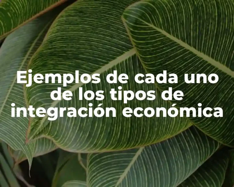 Ejemplos de cada uno de los tipos de integración económica