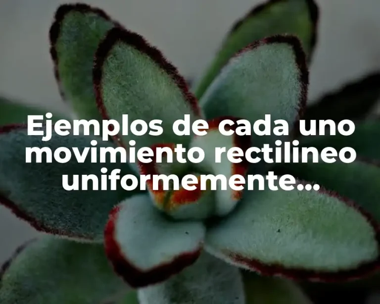 Ejemplos de cada uno movimiento rectilineo uniformemente acelerado