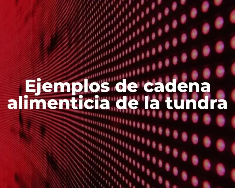 Ejemplos de cadena alimenticia de la tundra