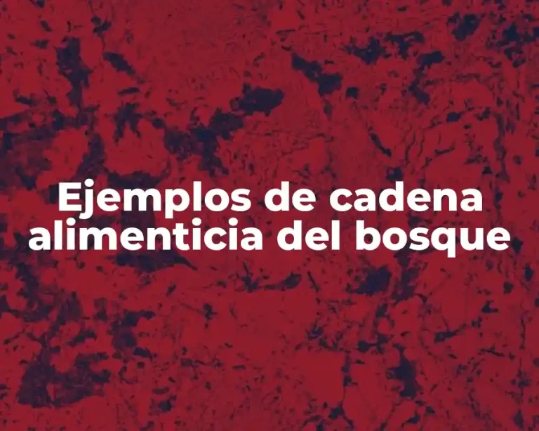 Ejemplos de cadena alimenticia del bosque