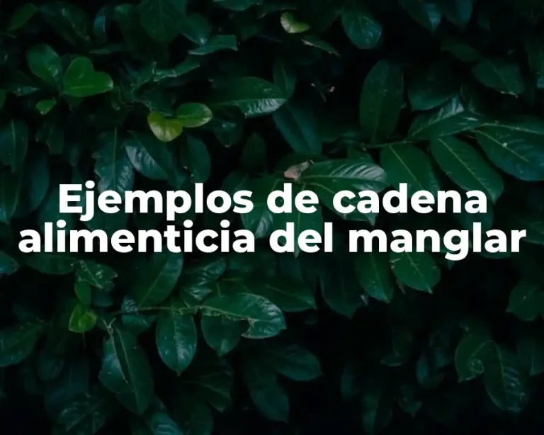 Ejemplos de cadena alimenticia del manglar