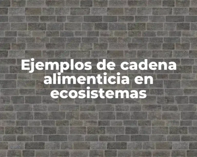 Ejemplos de cadena alimenticia en ecosistemas