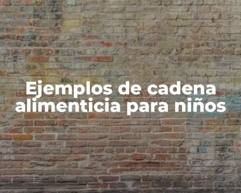 Ejemplos de cadena alimenticia para niños