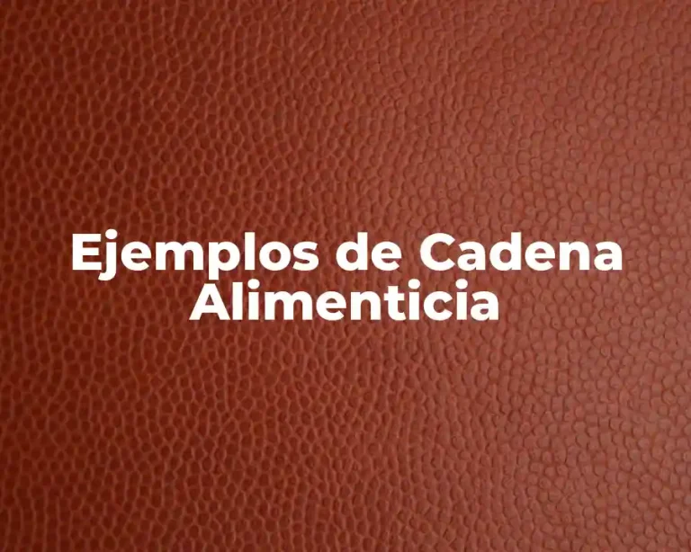 Ejemplos de Cadena Alimenticia