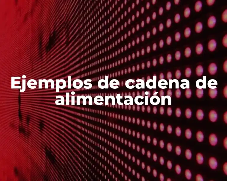 Ejemplos de cadena de alimentación