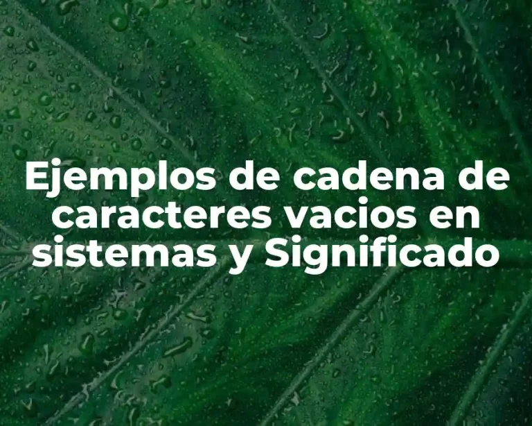 Ejemplos de cadena de caracteres vacios en sistemas y Significado