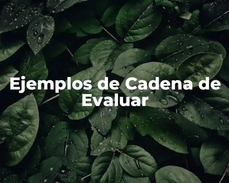 Ejemplos de Cadena de Evaluar