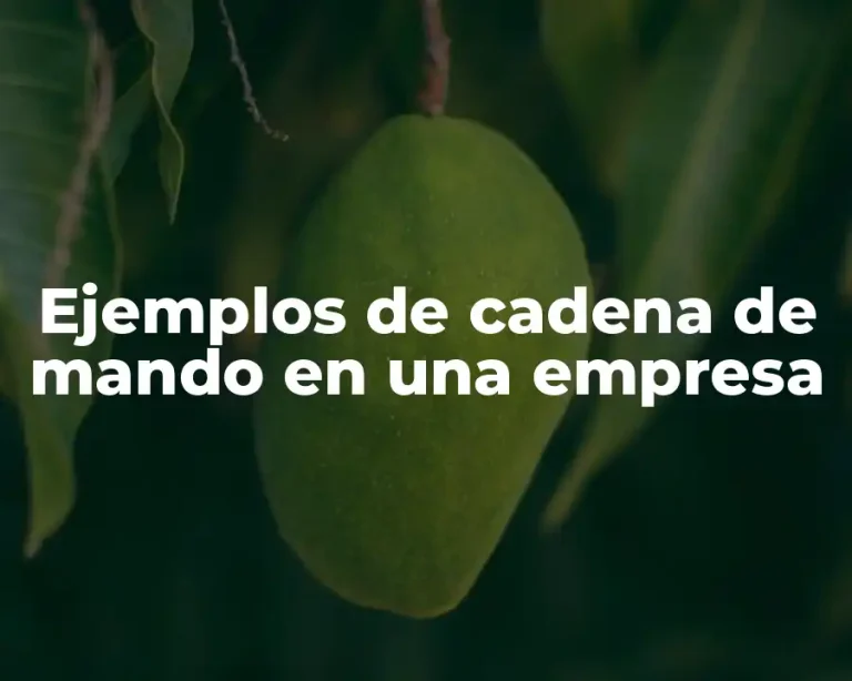 Ejemplos de cadena de mando en una empresa