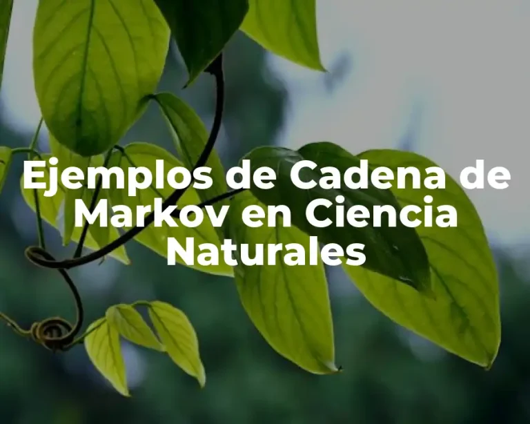 Ejemplos de Cadena de Markov en Ciencia Naturales
