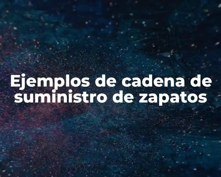 Ejemplos de cadena de suministro de zapatos