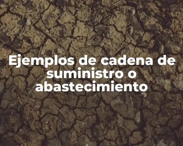 Ejemplos de cadena de suministro o abastecimiento