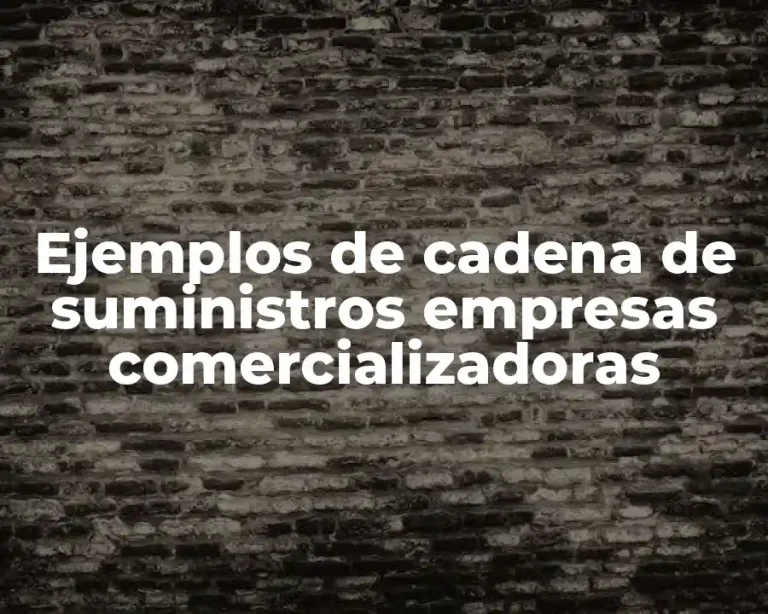 Ejemplos de cadena de suministros empresas comercializadoras