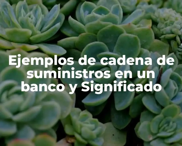 Ejemplos de cadena de suministros en un banco y Significado