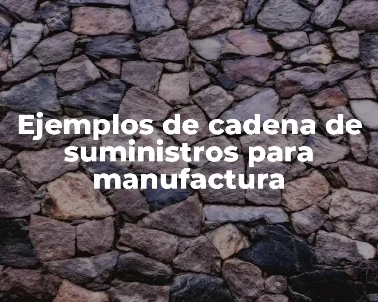 Ejemplos de cadena de suministros para manufactura