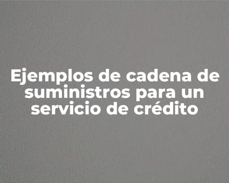 Ejemplos de cadena de suministros para un servicio de crédito