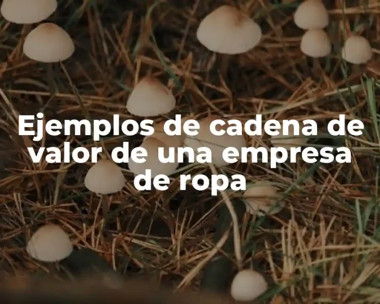 Ejemplos de cadena de valor de una empresa de ropa