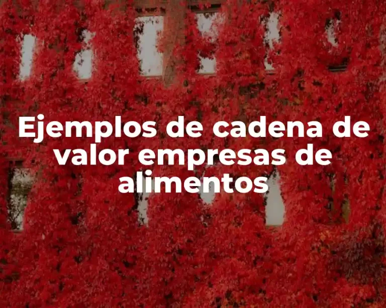 Ejemplos de cadena de valor empresas de alimentos