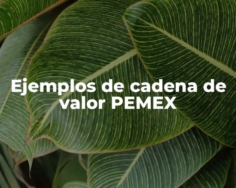 Ejemplos de cadena de valor PEMEX