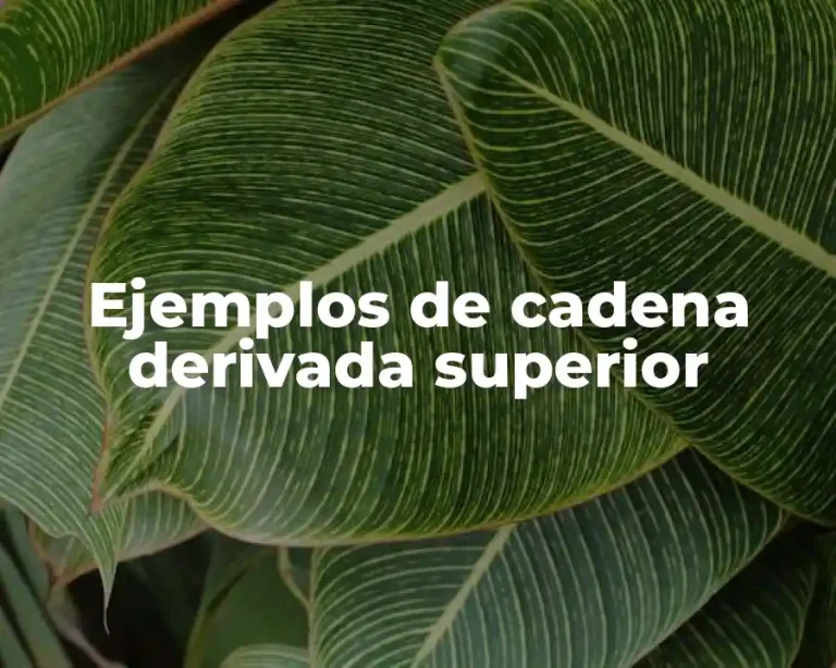 Ejemplos de cadena derivada superior