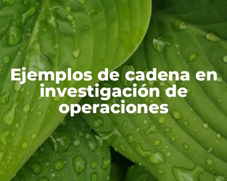 Ejemplos de cadena en investigación de operaciones