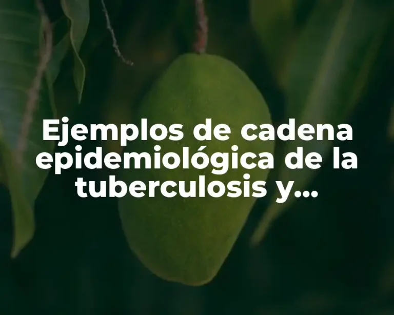 Ejemplos de cadena epidemiológica de la tuberculosis y Significado