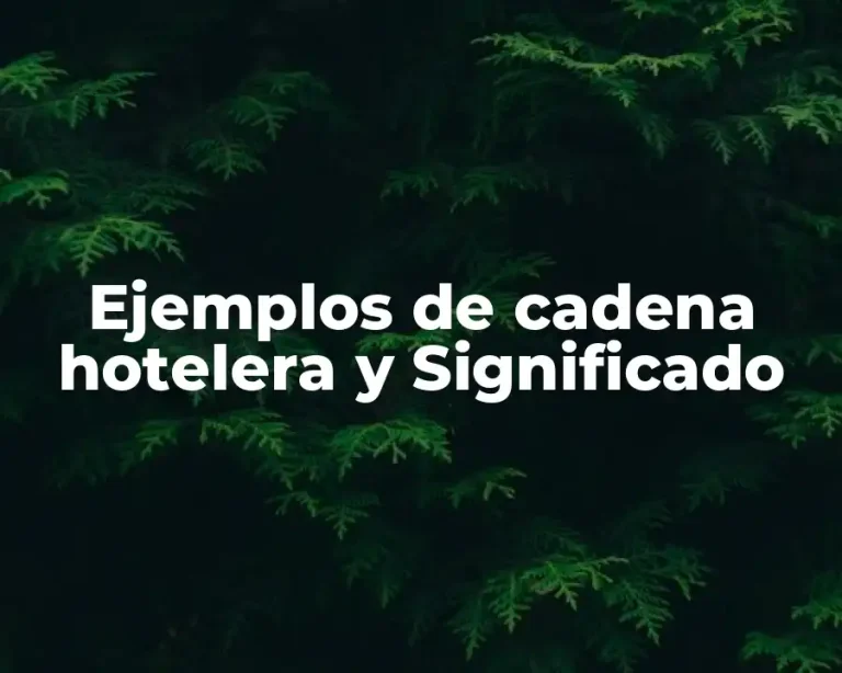 Ejemplos de cadena hotelera y Significado