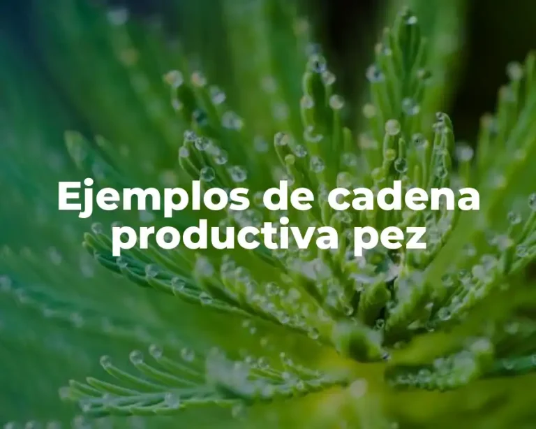 Ejemplos de cadena productiva pez