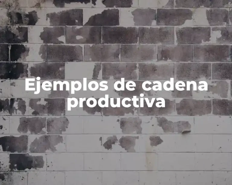 Ejemplos de cadena productiva