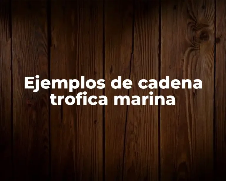 Ejemplos de cadena trofica marina
