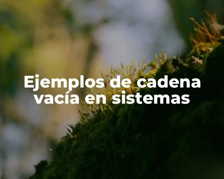 Ejemplos de cadena vacía en sistemas