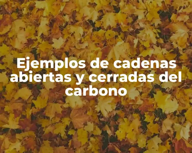 Ejemplos de cadenas abiertas y cerradas del carbono