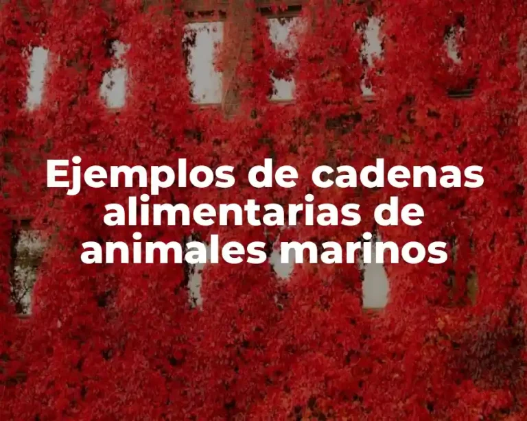 Ejemplos de cadenas alimentarias de animales marinos